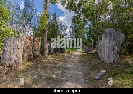 Huge old and dry logs placed vertically on the dirt road between trees with green leaves in City Play Forest Sjabolleke (Stadsspeelbos) park, sunny su Stock Photo