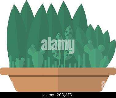 Plants collection set vector illustration, flat style Stock Vector