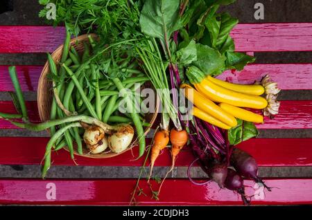 organic vegetables, colorful zuchini Stock Photo