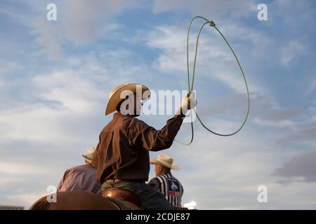 Team Roper Hayes Smith warms up before competing at the PRCA Rodeo at the Wyoming State Fair in Douglas on Thursday, August 13, 2020. The 108th annual fair opened this week with additional precautions to prevent the spread of the COVID-19 virus. Stock Photo