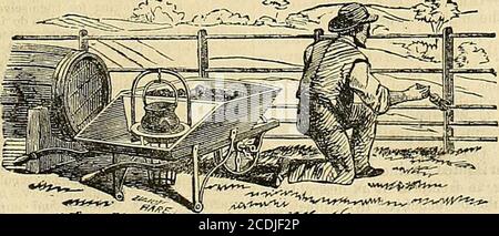 . The Gardeners' Chronicle and Agricultural Gazette . Station. THE WROUGHT IRON HEATING BARROW ^s ?1V-. Vi(&ZS-lSfAK *M^ir&lt;htf* shown in the above engraving is a very useful article for applying the varnish or for heating gas tar. The front compartmentholds tools, fuel, &c. and the back compartment carries an iron three gallon pot -with fire grate underneath. Price £3 or £3 3s. Carriage paid. HILL and SMITH, BRIERLY HILL IRON WORKS, NEAR DUDLEY.LONDON OFFICE : 40 BROAD STREET BUILDINGS, E.C. UOWLERS PATENT STEAM PLOUGH J- has gained the following prizes:— Tho Hoy.il Agricultural Societys P Stock Photo