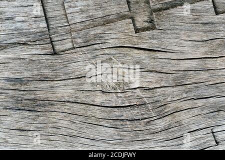 Natural grey wood texture panels, wood texture, top view brown wooden background Stock Photo