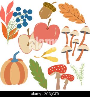 Set of autumn leaves, mushrooms, apple, berries, pumpkins. Vector graphics on a white background for the design of cards, prints on pillows, packages Stock Vector
