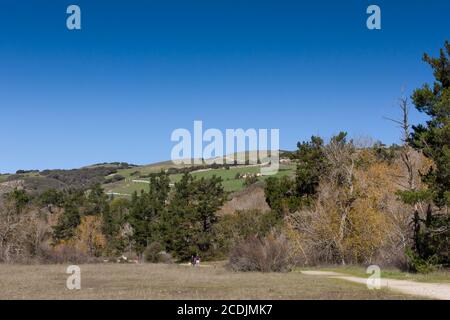 Hills Overlooking Garland Ranch Regional Park Stock Photo