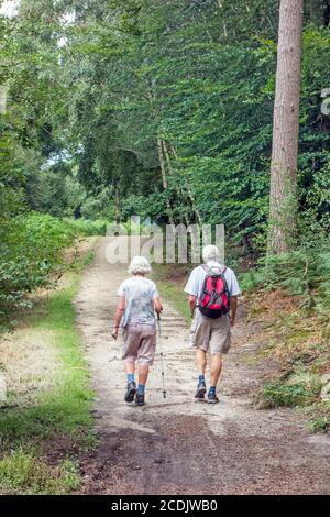 Elderly couple walking through Delamere forest on the Sandstone trail long distance footpath through the Cheshire countryside Stock Photo