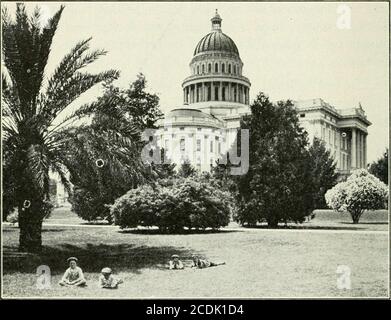 . The Chamber of commerce handbook for San Francisco, historical and descriptive; a guide for visitors .. . nd contains 1 1 6 varieties of trees and shrubs fromall parts of the world, besides the memorial grove of treescollected from the battlefields of the Civil War. In the Capitol grounds is the State Insectary, which yearlycollects, breeds and distributes millions of fruit-protecting in-sects. This work has probably been farther advanced inCalifornia than anywhere else in the world, and has attractedthe attention of Government scientists from France, Spain,Japan, Formosa and South Africa. T Stock Photo