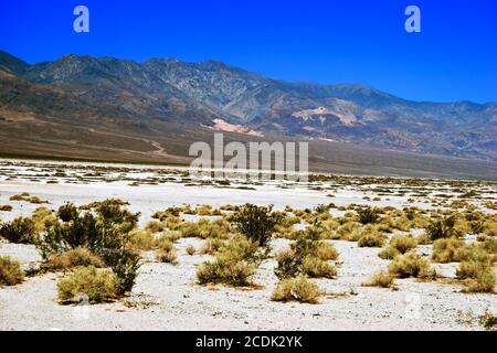 Lifeless landscape of the Death Valley Stock Photo