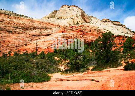 Slopes of Zion canyon. Utah. USA. Stock Photo