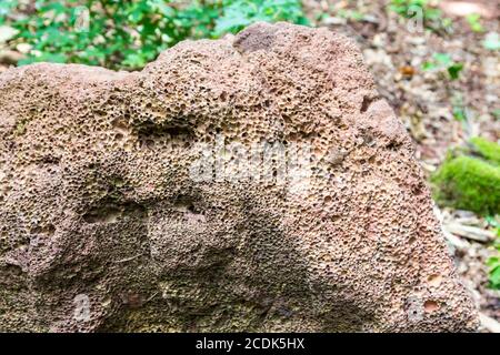 Vesicular basalt volcanic stone close-up at Badacsony, Hungary Stock Photo