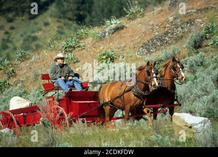 Ride to Rendezvous wagon, Okanogan County, Washington Stock Photo