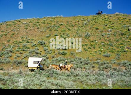 Ride to Rendezvous wagon, Okanogan County, Washington Stock Photo