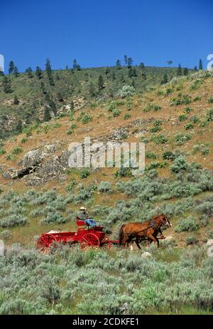 Ride to Rendezvous wagon, Okanogan County, Washington Stock Photo