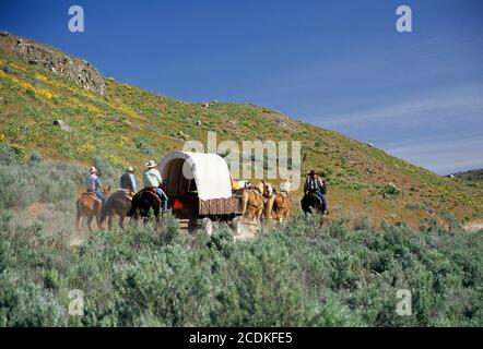 Ride to Rendezvous wagon, Okanogan County, Washington Stock Photo