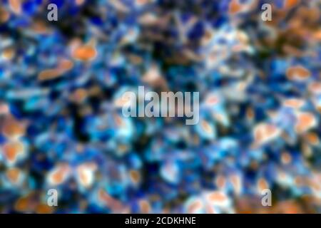 Neon background. Abstract blurred colorful background with neon colors. Wallpaper for desktop Stock Photo