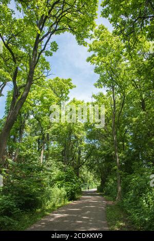 Aurora, Illinois, United States-April 19,2014: Person walking along a peaceful woodland path under a blue sky in Aurora, Illinois Stock Photo