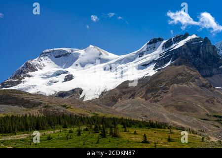 Tangle Creek Falls along the Icefields Parkway,, Jasper National Park, Alberta, Canada. Stock Photo