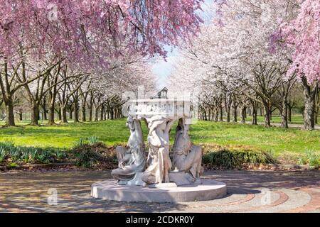 Cherry Blossoms at Fairmount Park and Philadelphia Skyline Stock Photo ...