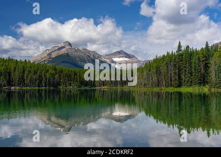 Herbert Lake reflections in Banff National Park, Icefields Parkway, Alberta, Canada. Stock Photo