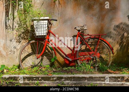 Old rustic red bicycle with white basket full of plants standing against an old red stone wall. Stock Photo