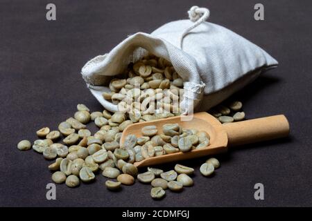 Green coffee, green coffee beans in sack and wooden shovel, Germany Stock Photo
