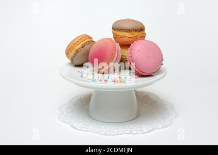 Macarons on decorative plate, Germany Stock Photo