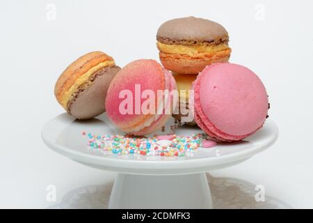 Macarons on decorative plate, Germany Stock Photo