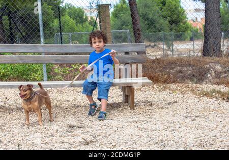 four year old boy dressed in blue, in park with his little brown dog sitting on wooden bench Stock Photo