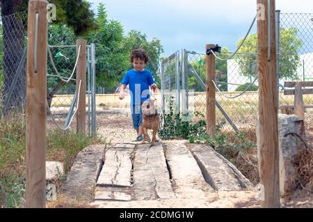 little boy walking his dog in park and crossing a small wooden bridge Stock Photo