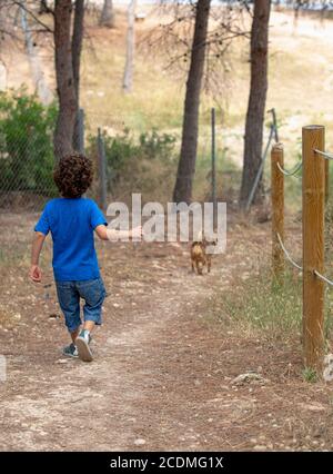 boy runs downhill playing and chasing his dog on dirt road in a park in the forest Stock Photo