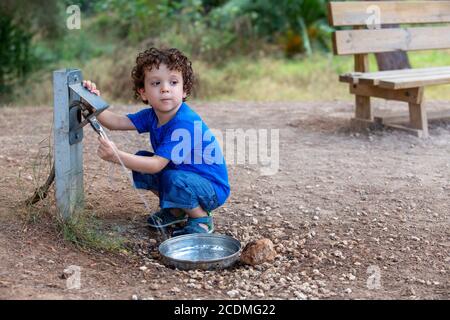 child opening a fountain for animals in park located in the middle of nature, Stock Photo