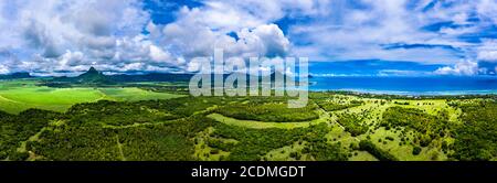 Aerial view, agriculture with sugar cane cultivation, near Flic en Flac, behind the mountain Tourelle du Tamarin and Trois Mamelles, Mauritius Stock Photo