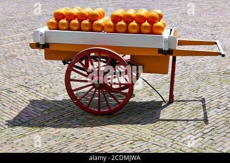 Handcart with Edam Cheese, Edam, North-Holland, Th Stock Photo