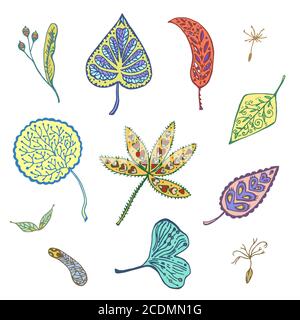 Autumn set of ornamental leafs and seed. Hand drawn vector illustration.  Stock Vector