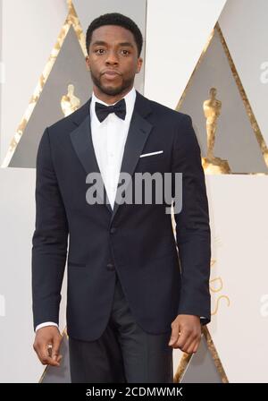 FILE: 29th Aug 2020. Hollywood, United States Of America. 28th Feb, 2016. HOLLYWOOD, CA - FEBRUARY 28: Chadwick Boseman attends the 88th Annual Academy Awards at Hollywood & Highland Center on February 28, 2016 in Hollywood, California. People: Chadwick Boseman Credit: Storms Media Group/Alamy Live News Stock Photo