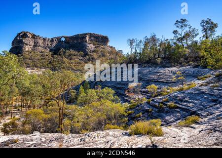 Spyglass Peak, Salvator Rosa Section Carnarvon National Park, Queensland, Australia Stock Photo