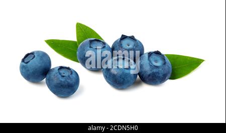 Stack of blueberries isolated on white with clipping path Stock Photo