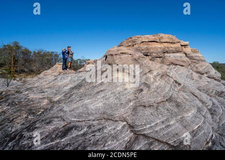 Busherwalkers at Salvator Rosa Section Carnarvon National Park, Queensland, Australia Stock Photo