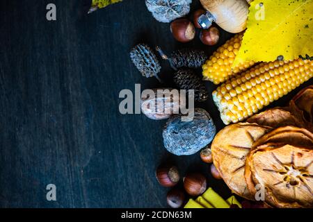 Thanksgiving day or autumnal harvest concept with frame with nuts, berries, vegetable and fruits on dark wooden background with copy space Stock Photo