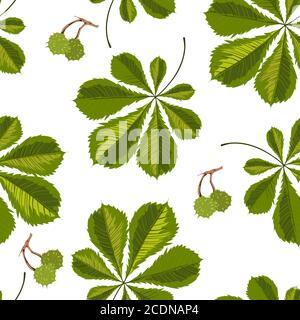 Chestnut tree leaves seamless pattern of green foliage Stock Vector