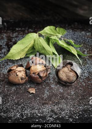 Harvested walnuts with green leaves on dark vintage background. Stock Photo