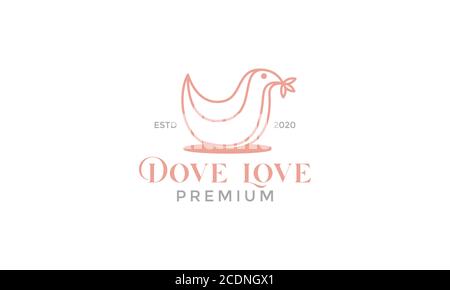 doves or pigeon bird minimalist line logo design modern Stock Vector