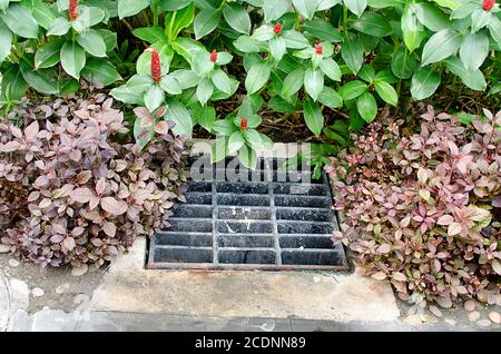 Drain Stock Photo