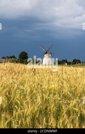 Windmill in Estonia Stock Photo