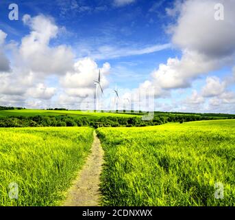 Wind turbines farm in field over cloudy sky Stock Photo