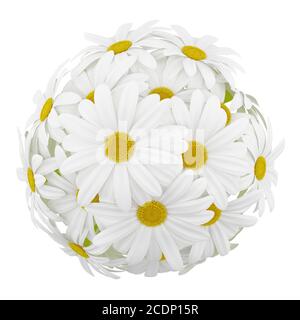 top view of daisies in glass vases isolated on white background Stock Photo