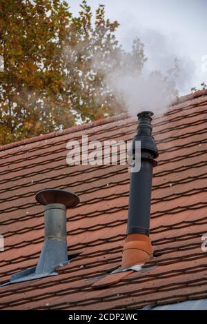 Two old chimneys on a tile roof Stock Photo