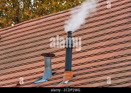 Two old chimneys on a tile roof Stock Photo