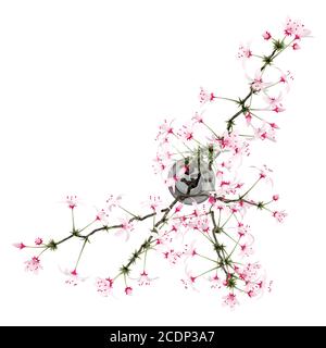 top view of flowering tree twigs in glass vase isolated on white background Stock Photo