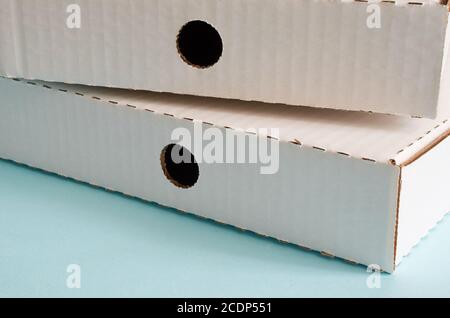 Two white cardboard pizza boxes close up Stock Photo