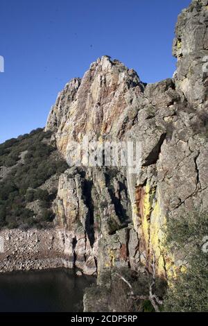 National Park Monfragüe, Extremadura, Spain, Griffon Vulture, Cinereous Vulture Stock Photo